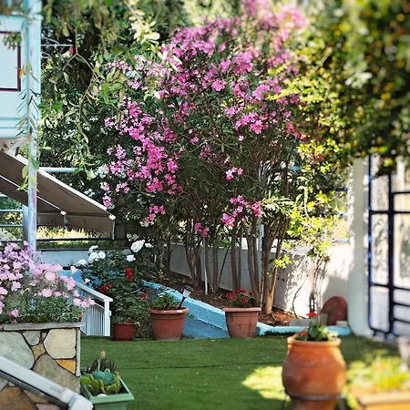 Hotel de apartamente Panagiotis 3*