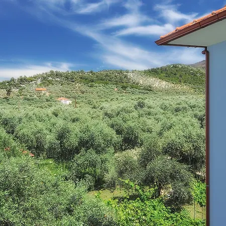 Panagiotis Hotel de apartamente