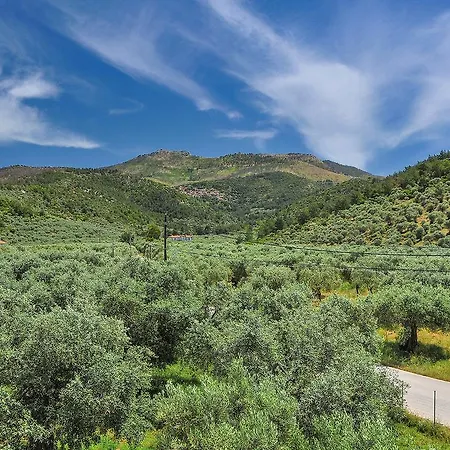 Panagiotis سكالا سوتيروس