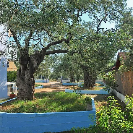 Panagiotis 3* سكالا سوتيروس